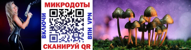 Псилоцибиновые грибы Cubensis  наркошоп  Кувшиново 